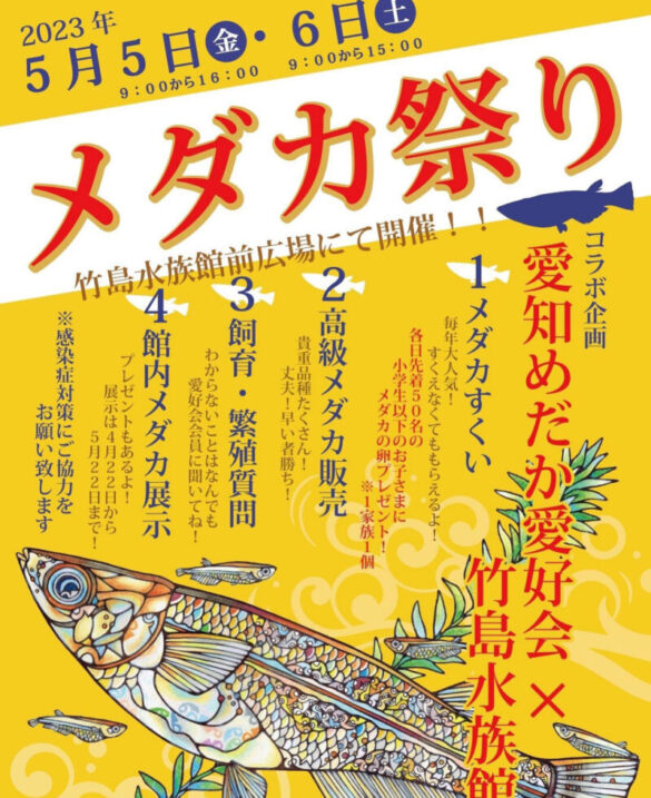 メダカ祭り🐟竹島水族館 | 豊橋市・豊川市・蒲郡市・田原市・新城市 | ほの国 （東三河）