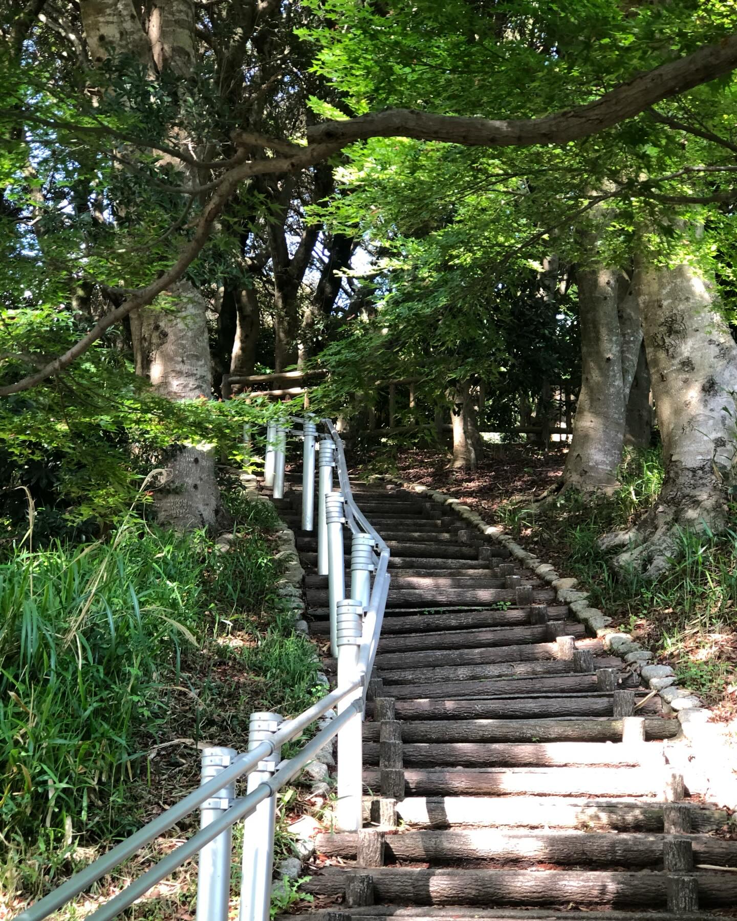 130f2a8d506722bee7bee5fc5d376a5f