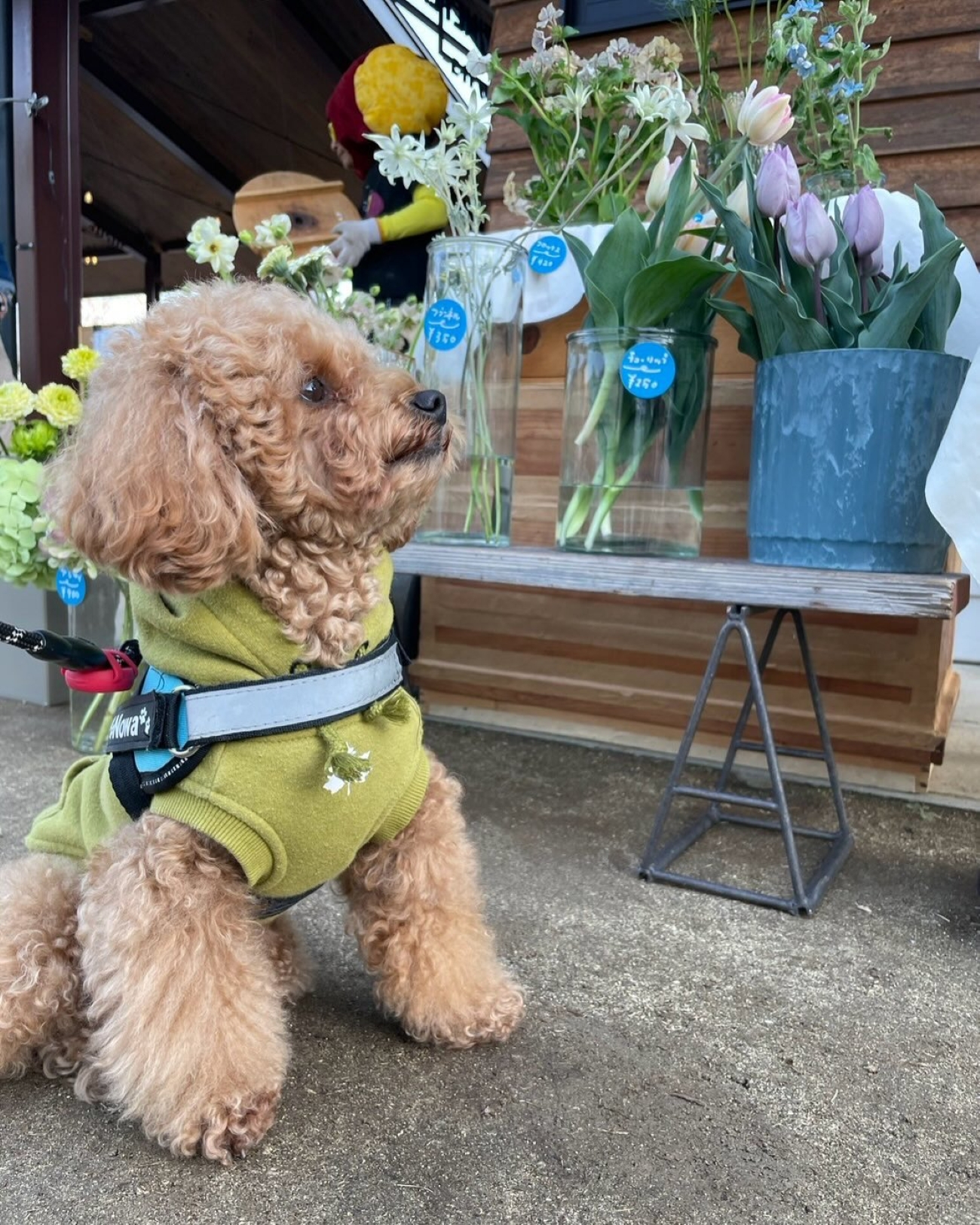 1b9b287db866a31e9ba0b81720f48c52