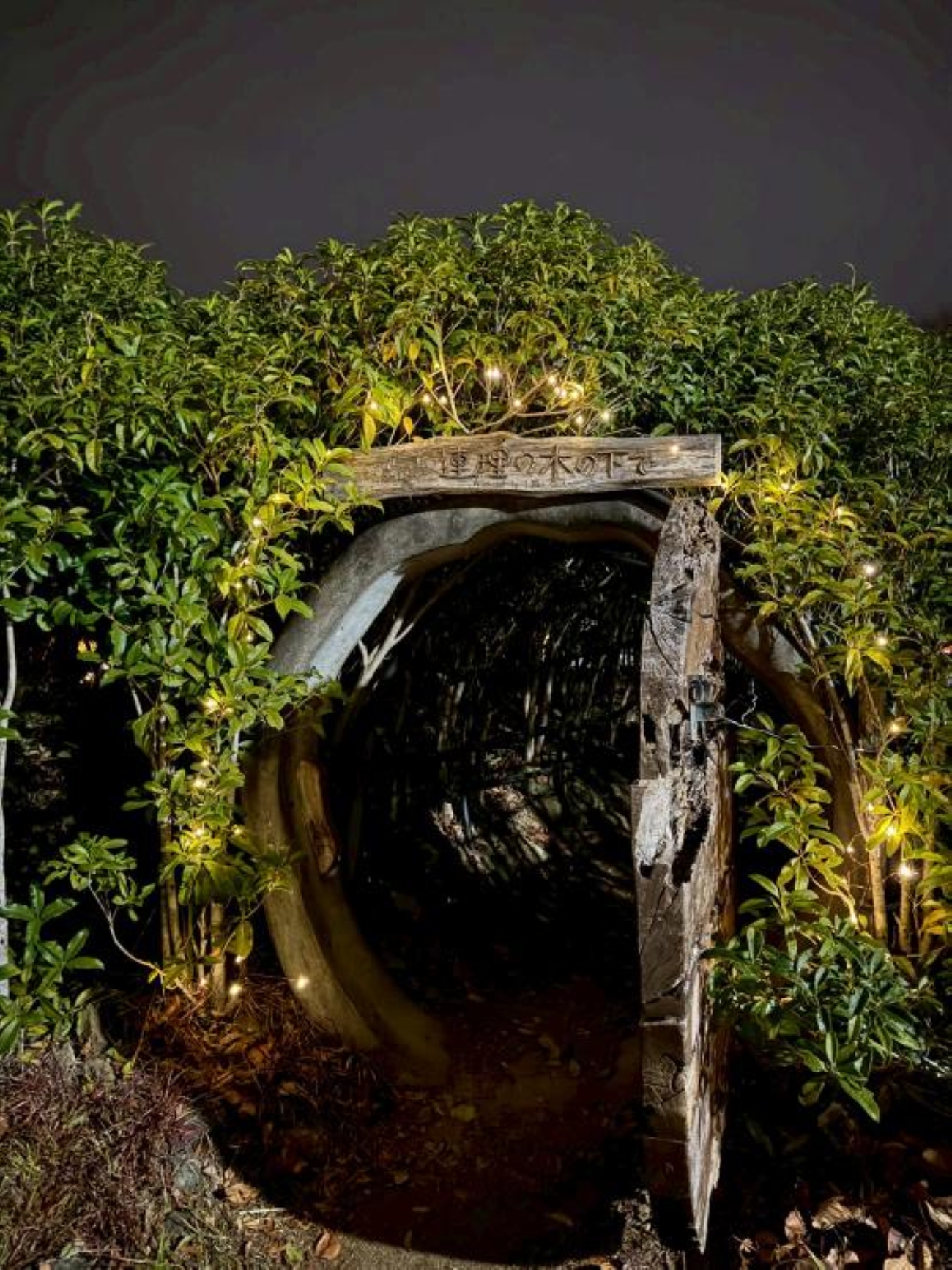 連理の木の下で260404_6