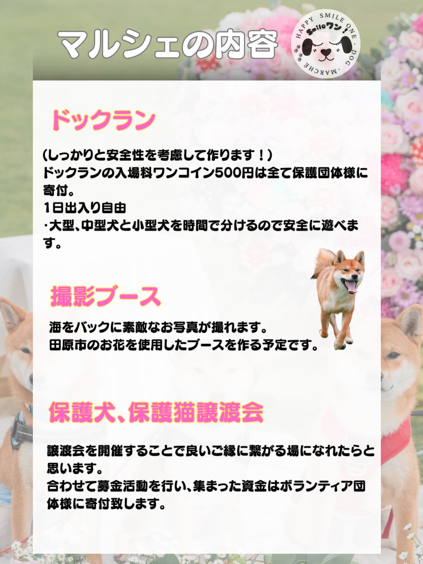 7f0272ee179a3cabea84037e8f21c73b