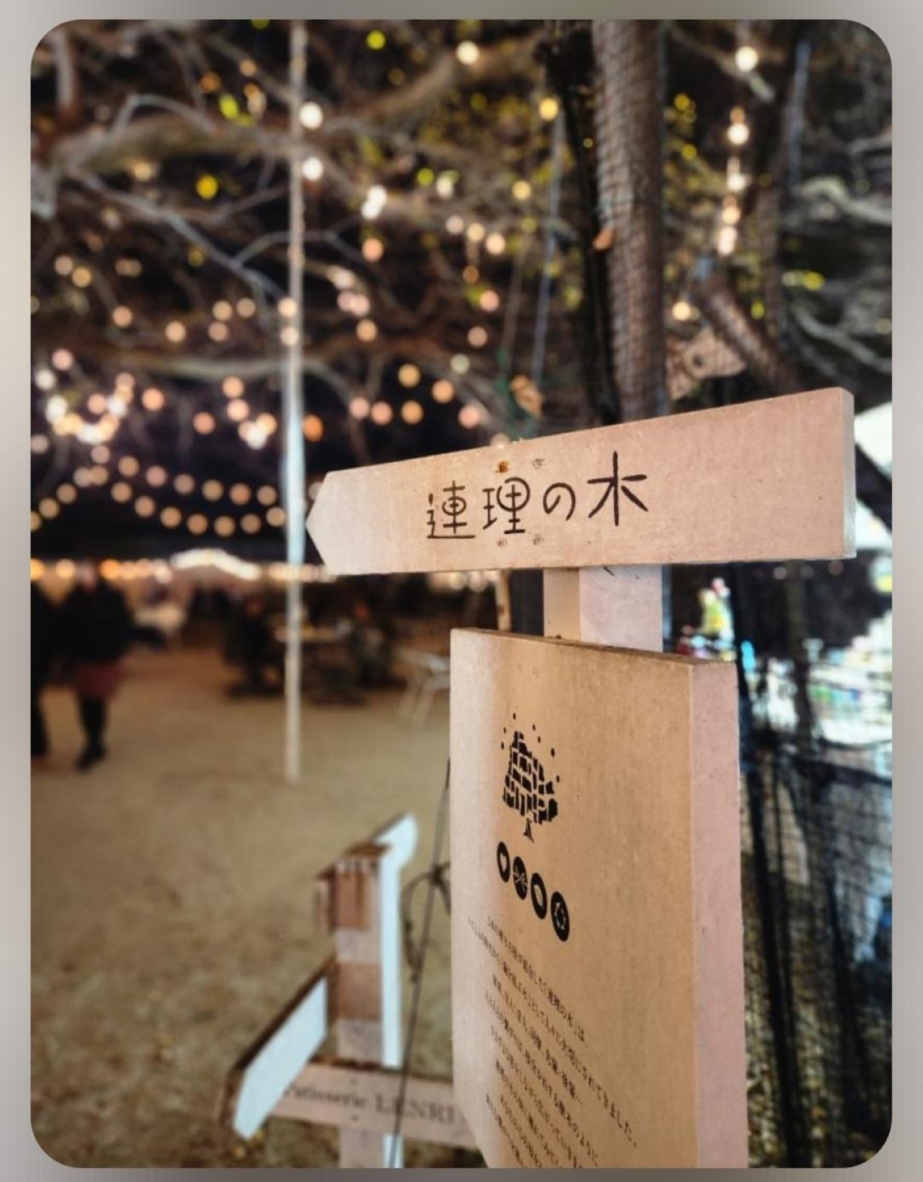 連理の木の下で260404_7