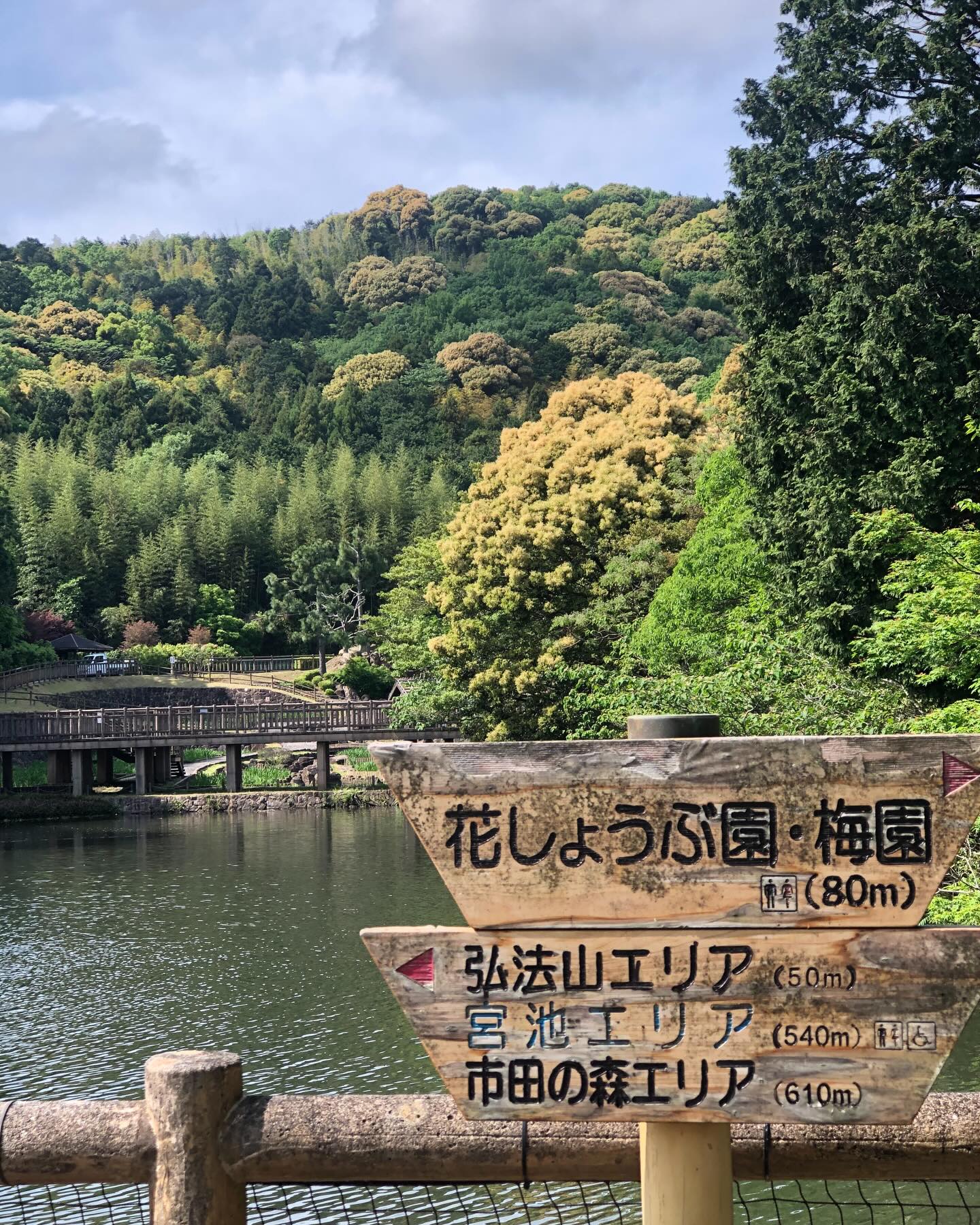 9295a110ce9ac0eb1ff51c38ddd417a7