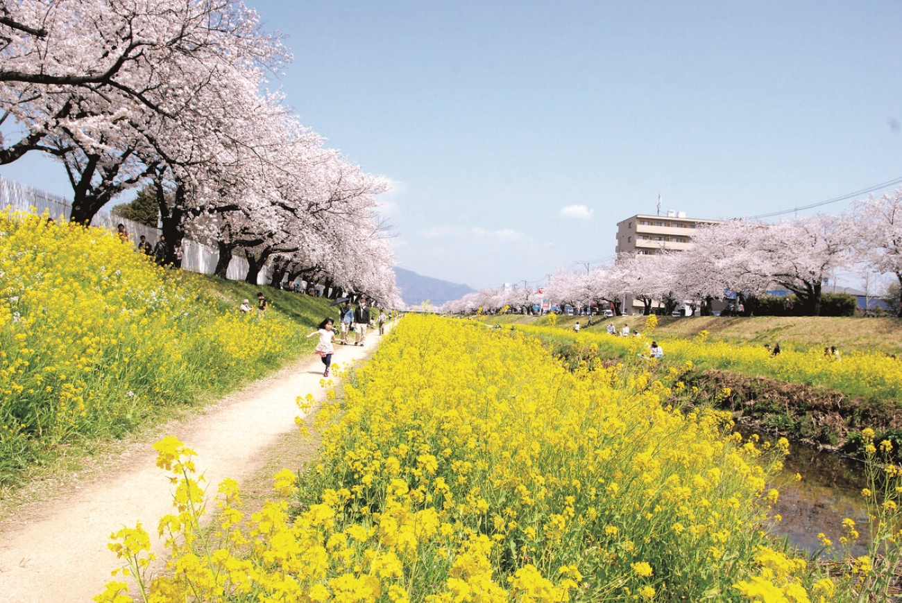 934f960f7183b6391550d008e44b1767