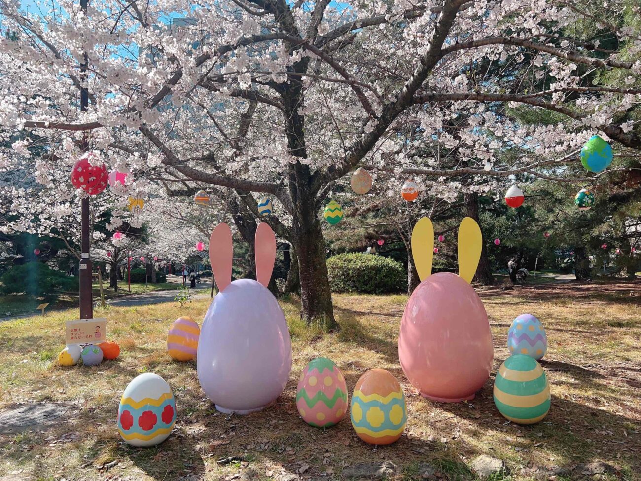 98e45eda19229d1059b4fecb162af871