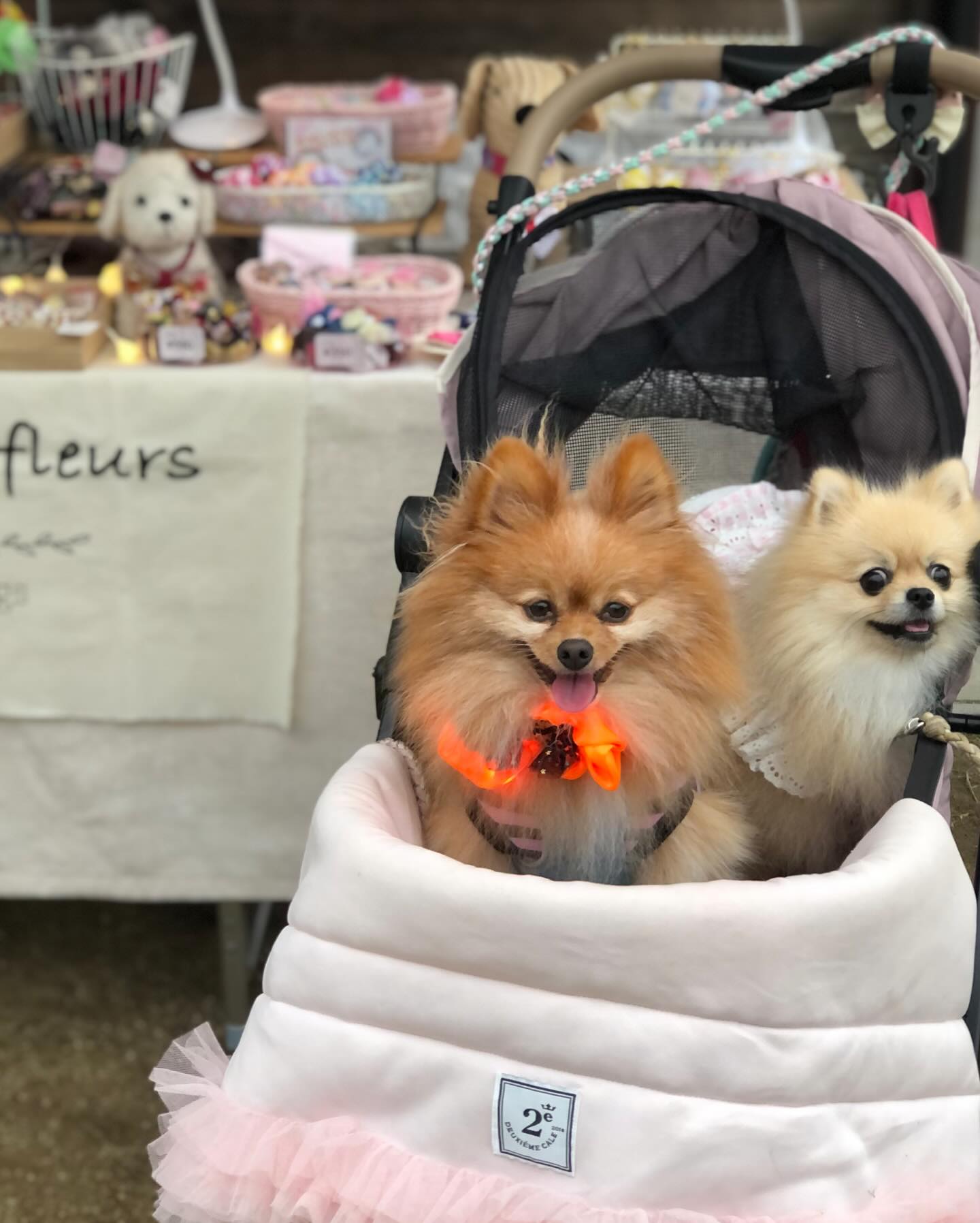 abf6c75e9ce3ac46f21f709c4fe825e2