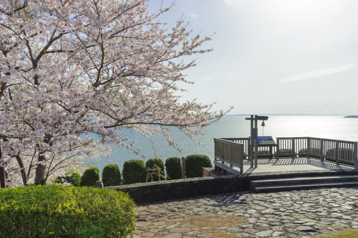 b9d6582052681129a223f2a432d9a507