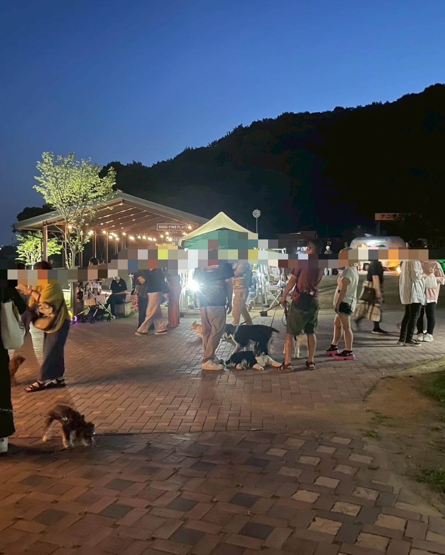 bb8b09c0a05ffe38b8e383af3cd4e3b6