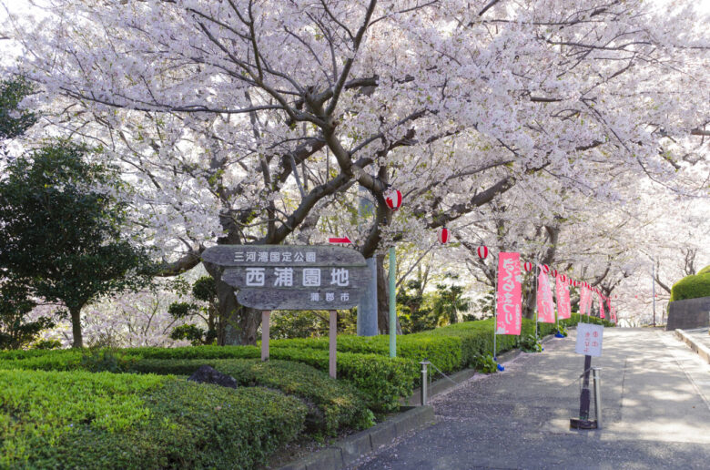 d86840d8e4d9e8a7bcdee9075bd97d0a