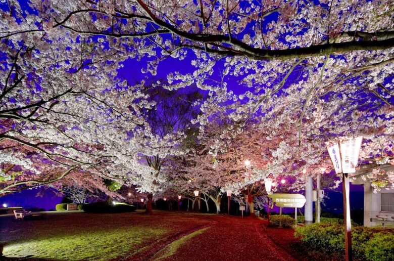 dd5127839624351f63ad7d0d1a6e6f41