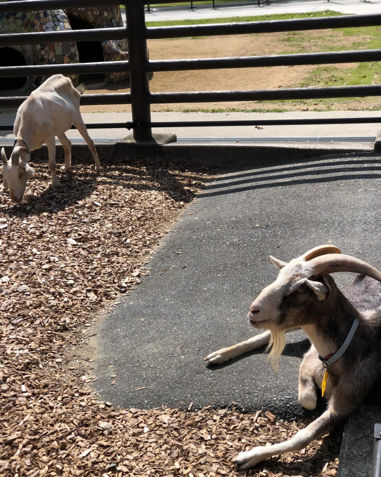 ed63e9ee1401212eef0a3cb1c8cf4eff