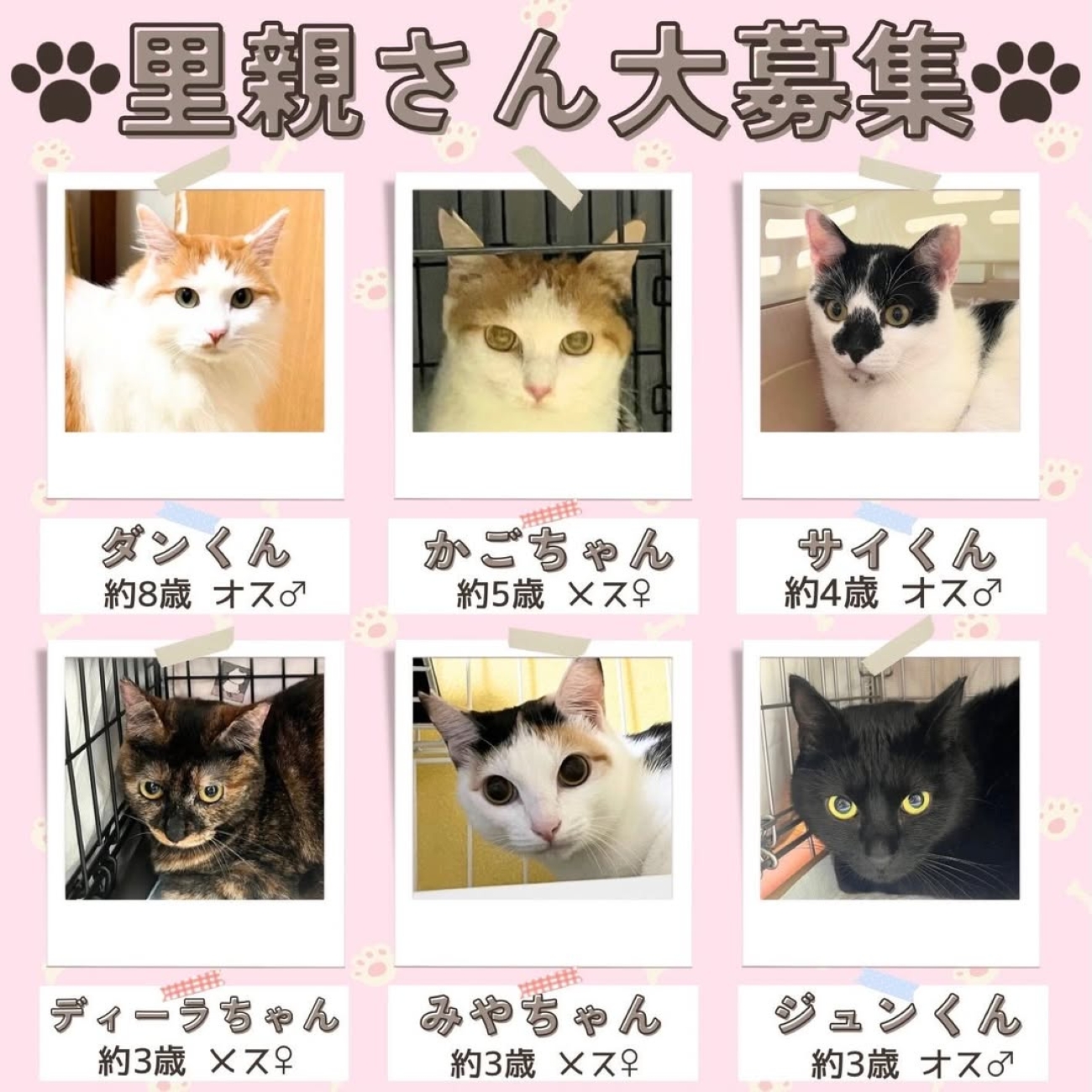 00b2ff93eb2ef0bec3bafbf1e6799a28