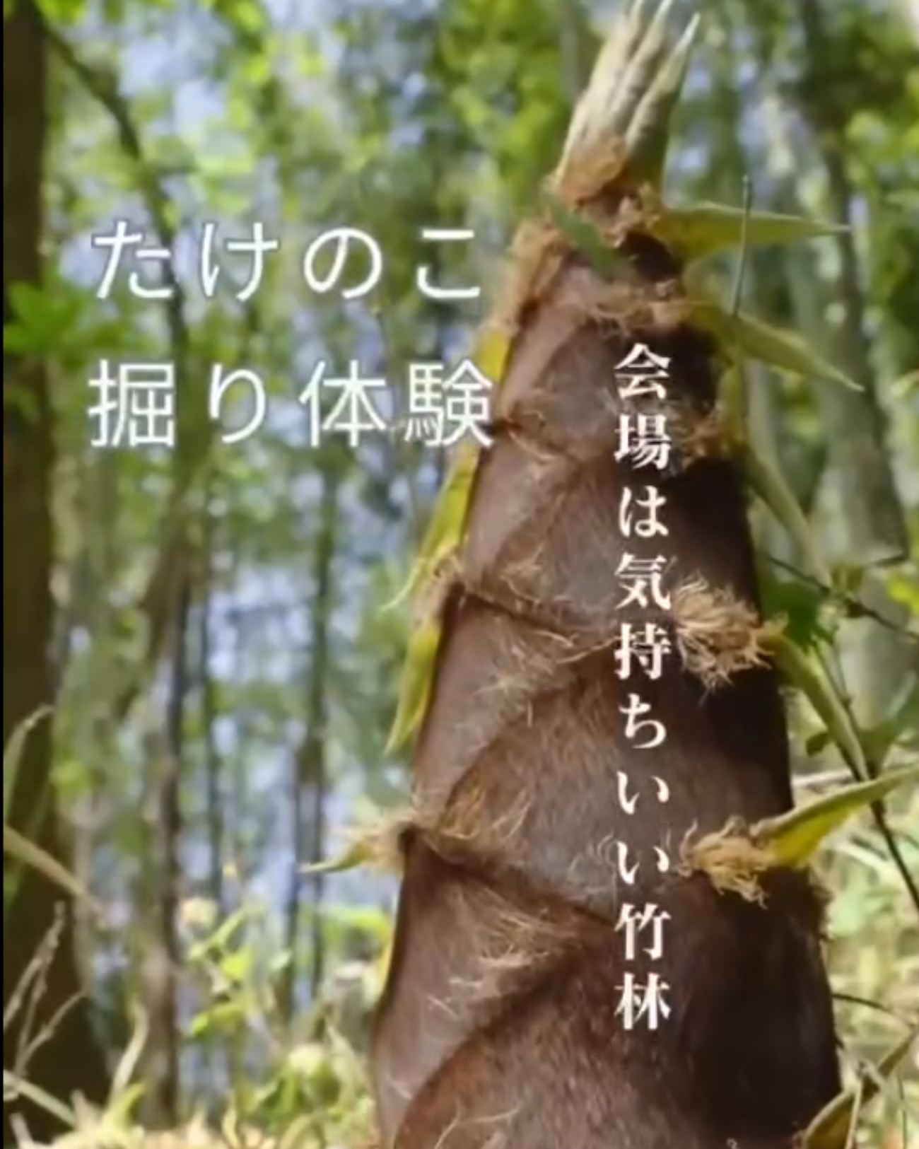 07b7a3c6e1ee6a91f21523781cfcc31e