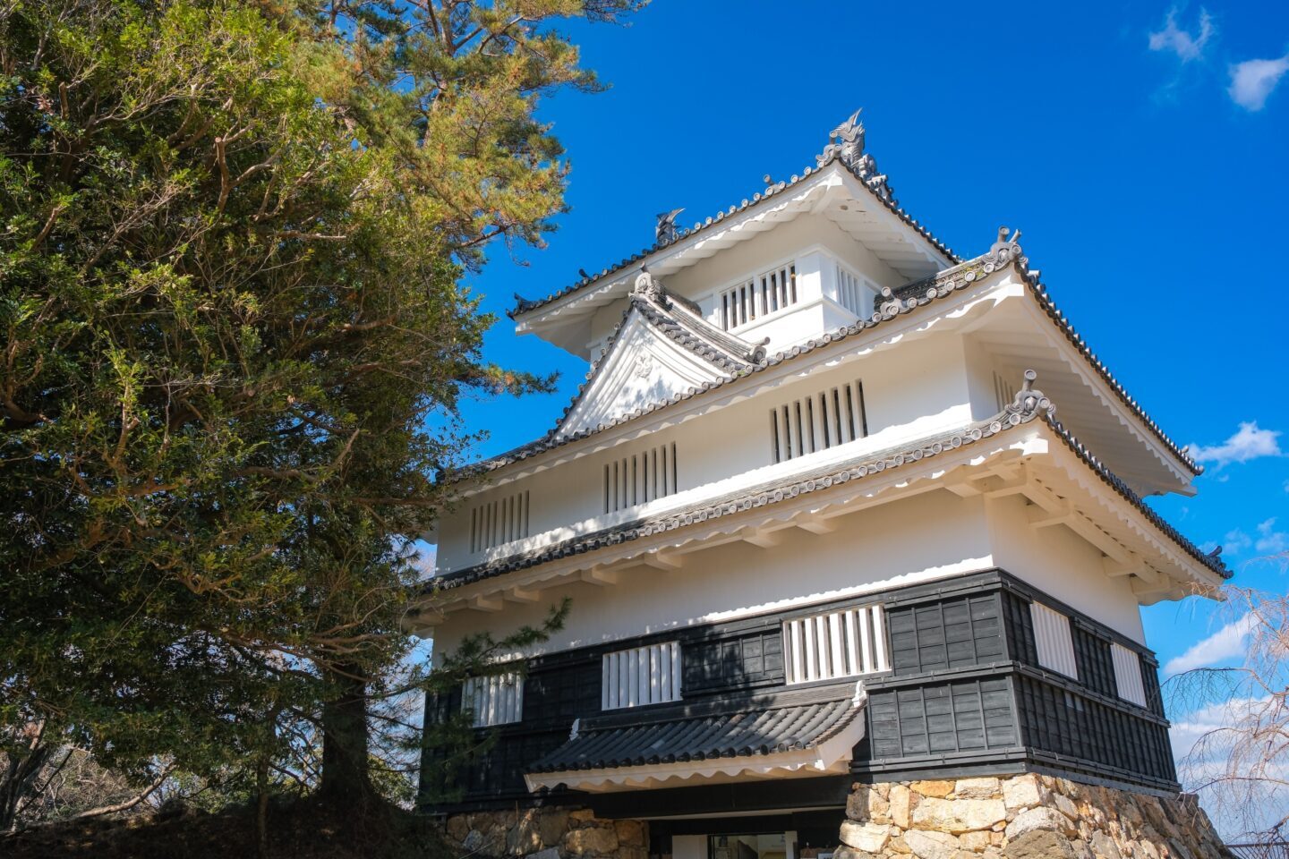 32808491 m e1776696890368