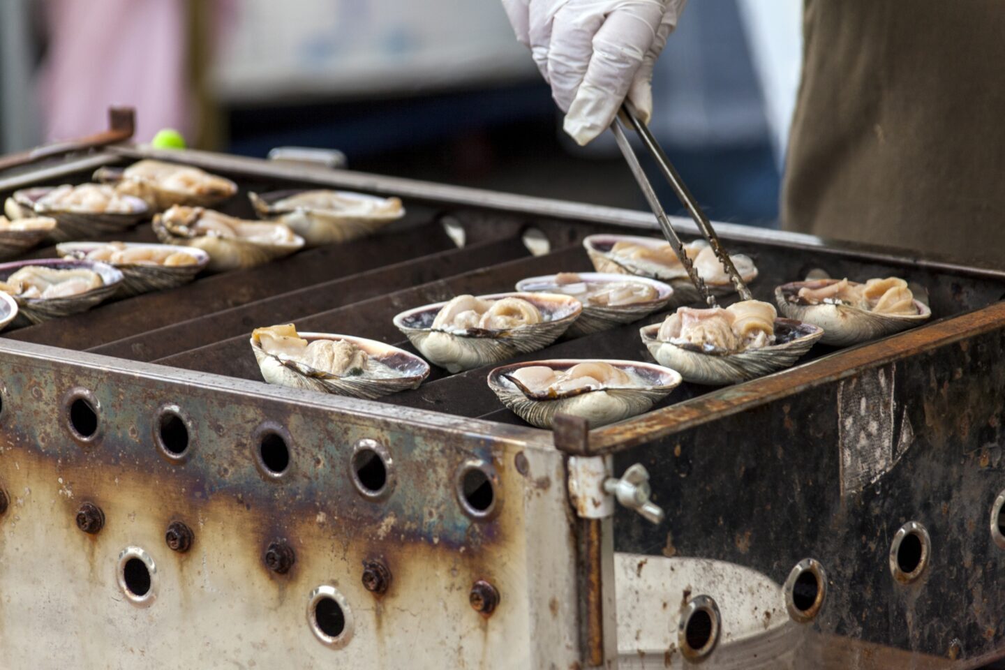 33793518 m e1776955260753