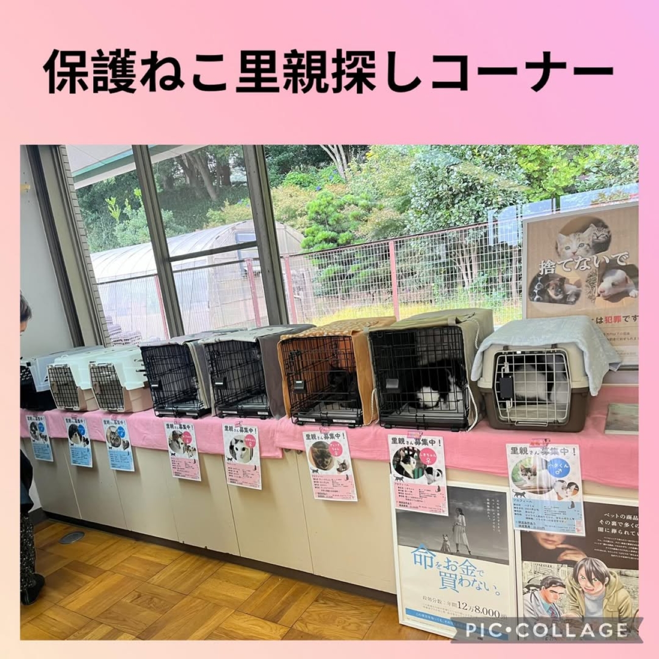 5b5e92dfce44841268e8a757af53eb43