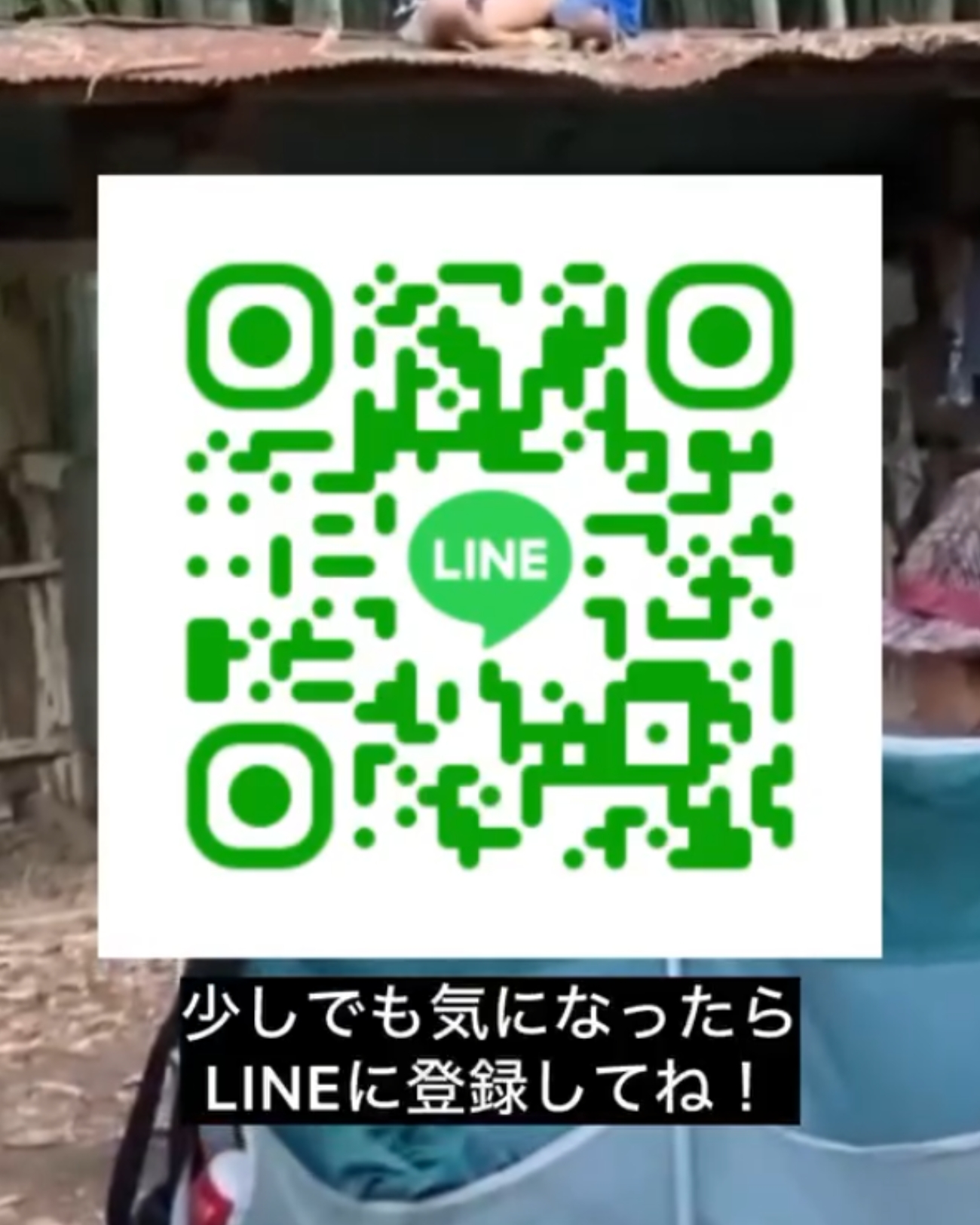 ae31adc4166c3527e7c9ce6a8ef4bcae