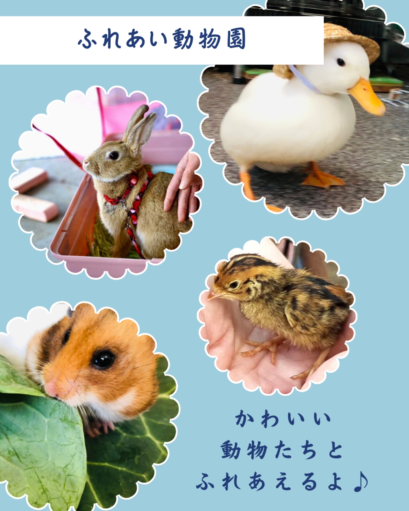5月_駒屋であそびん260517_2