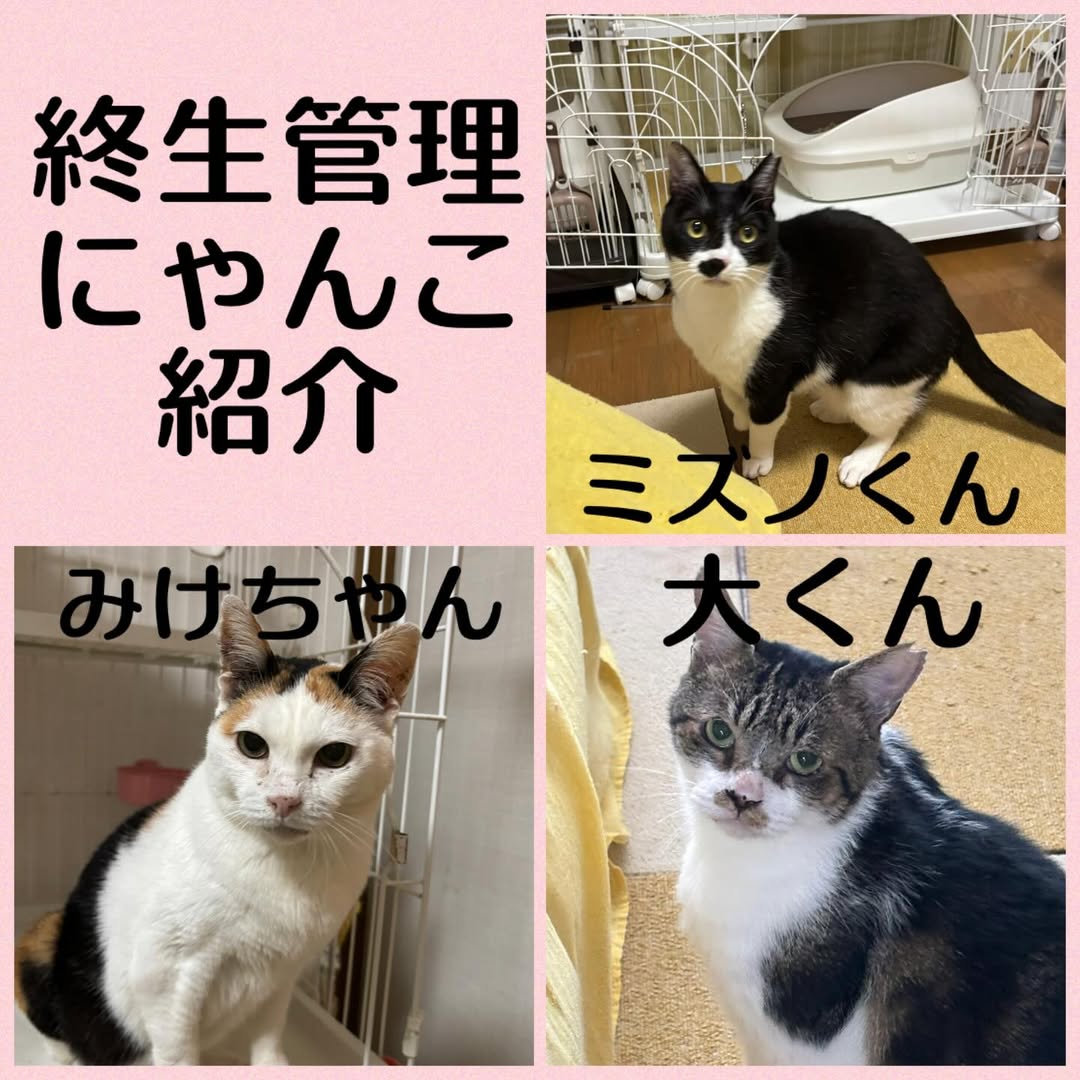 20b57fc6c732d093c9882ef242b1587c