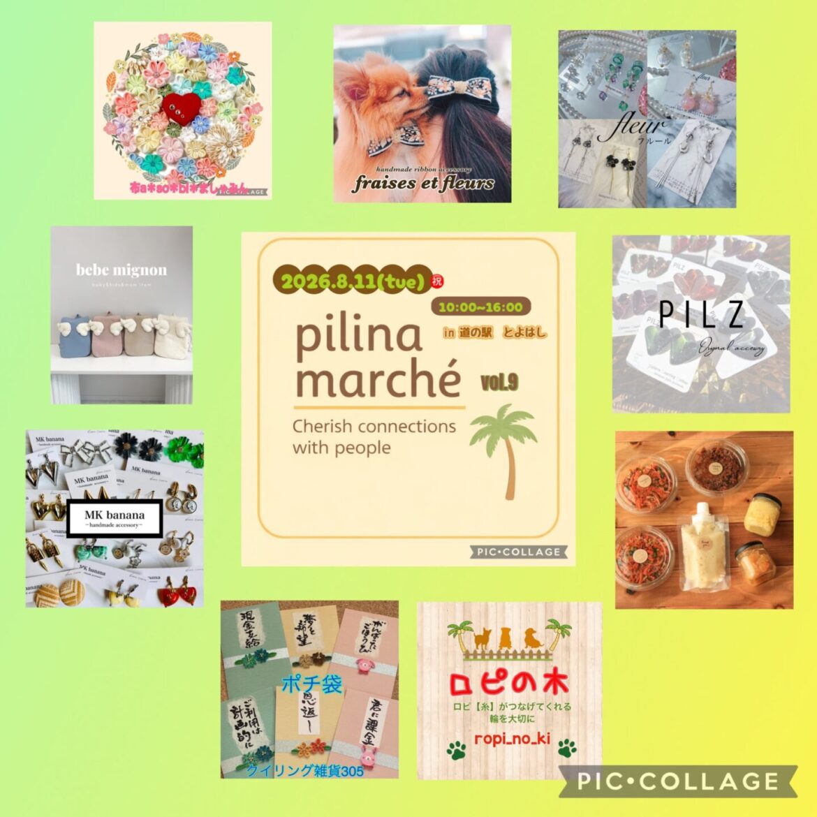 pilinamarche vol.9260811 1