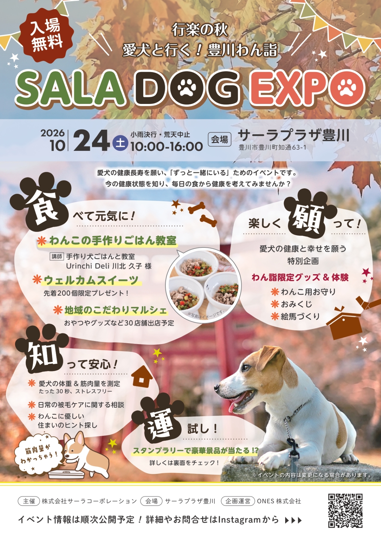 SALA DOG EXPO 20261024 4