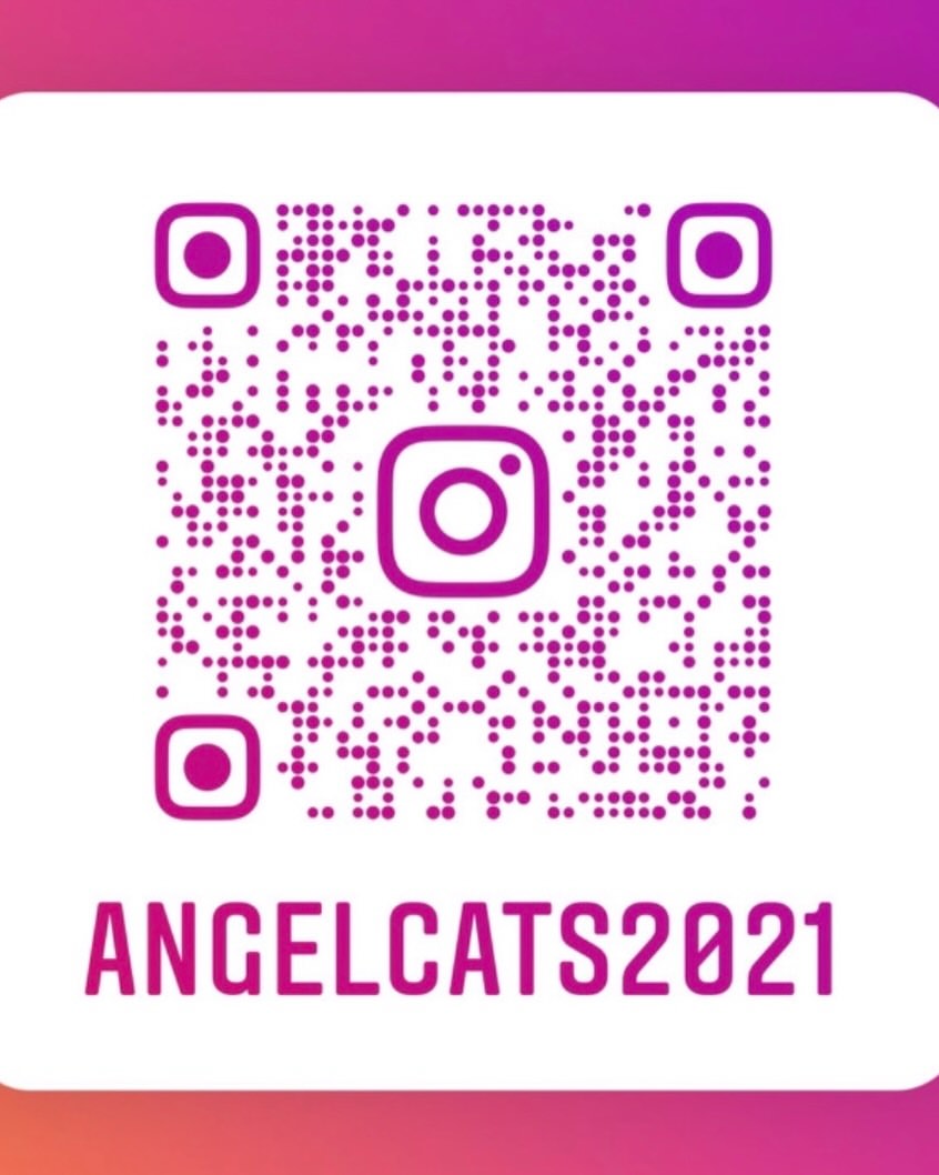 a3b50f3564065573dfd7f84ddd2537ab
